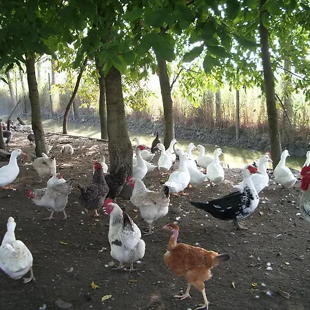 Antica Corte Cason Farm stay